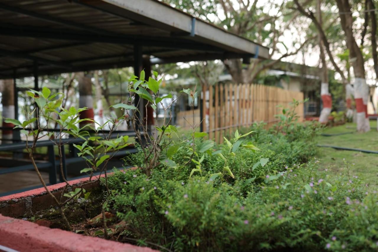 Bed and Breakfast Nisarg Farm Mulshi Exterior foto